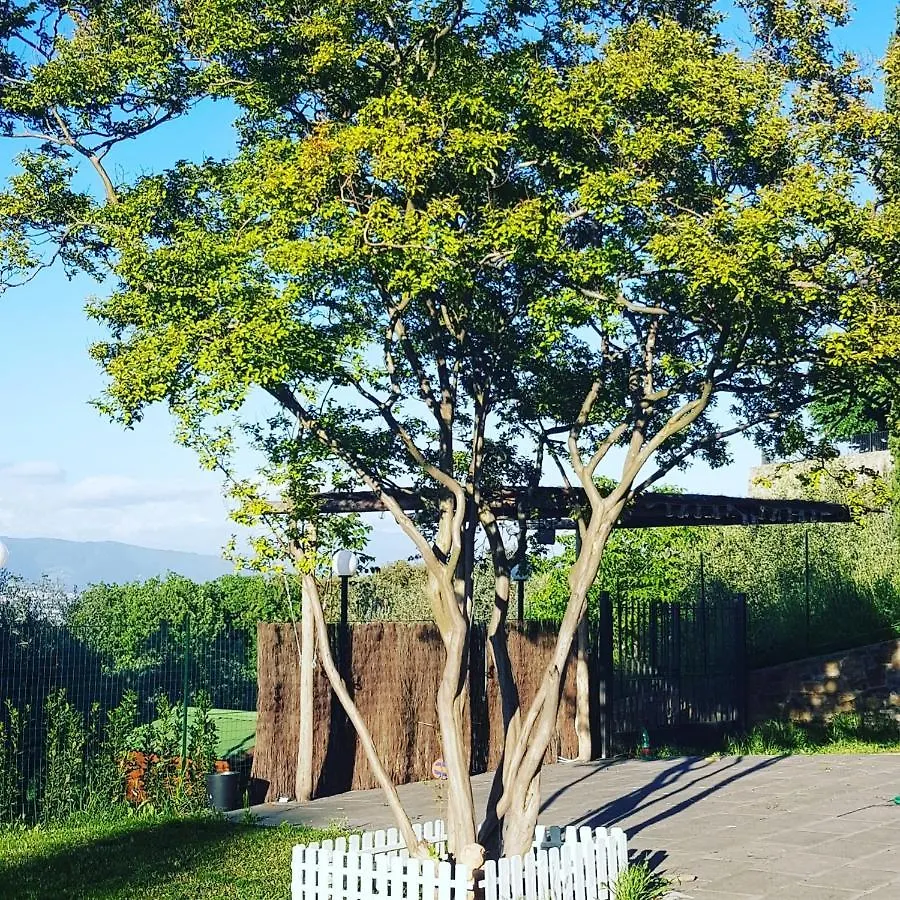 B&B Mi Casa Es Tu Casa Quarrata